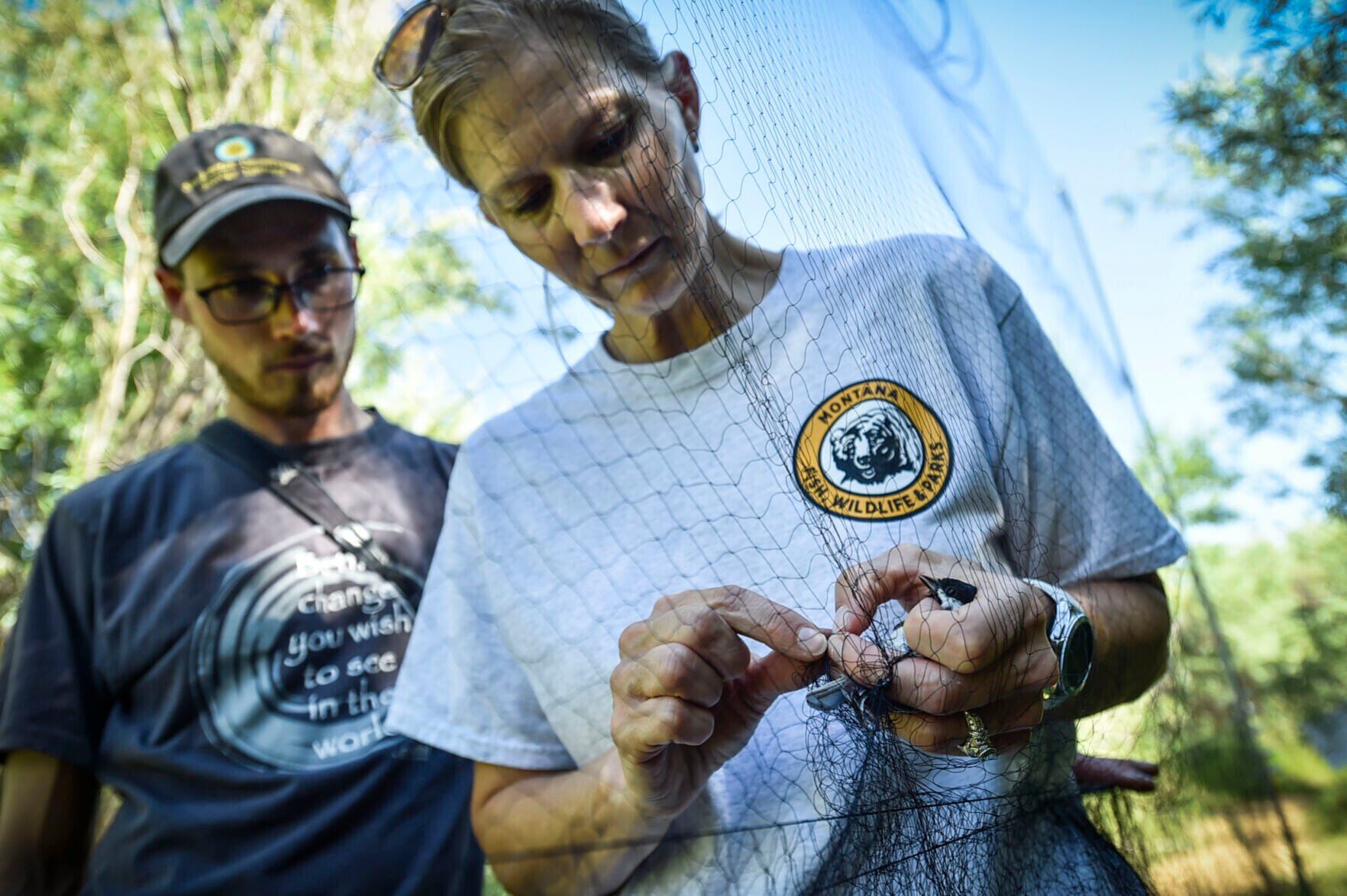 Volunteers Jennifer Fritz, right and Shane Sater remove a chickadee from a capture net